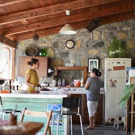 B&B Casa Dei Nonni Scario Exteriér fotografie